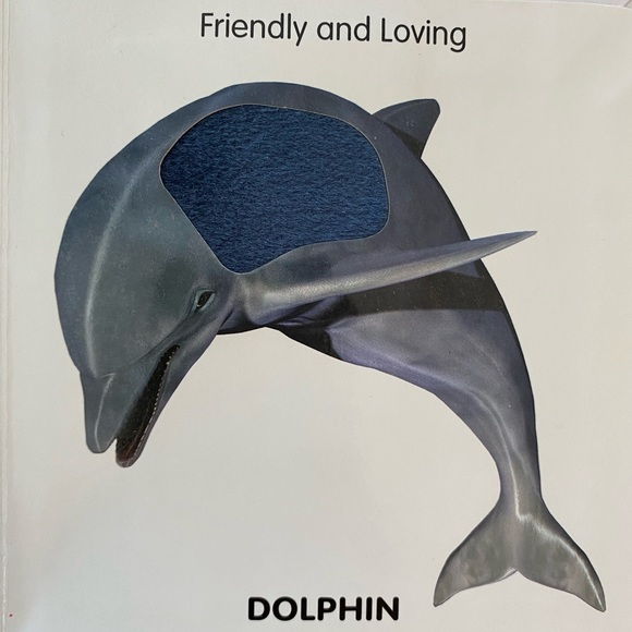 Baby book bundle! - Picture 5 of 5